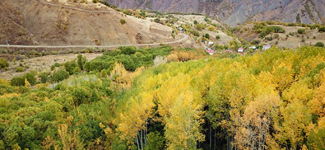 Dersim ormanları sonbahar renkleriyle bir başka güzel