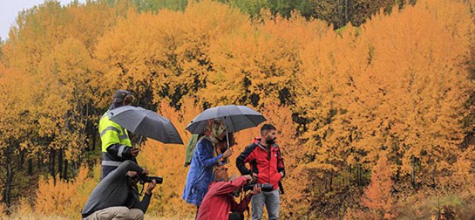 Sonbahar renkleriyle büyüleyen Dersim’e fotoğrafçı ilgisi