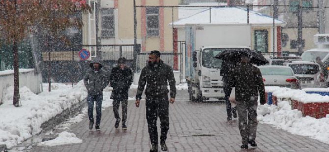 Ovacık'ta kar yağışı hayatı olumsuz etkiledi