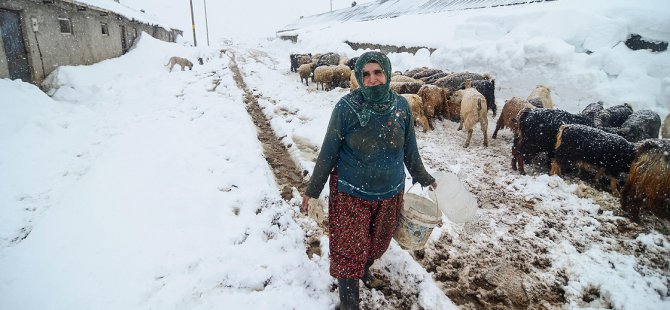 Besicilerin zorlu kış şartlarıyla mücadelesi