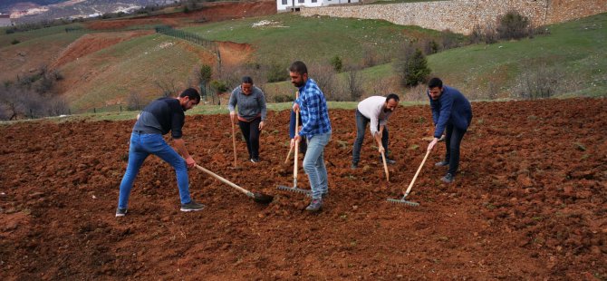 Dersim Belediyesi yerli tohumu toprakla buluşturdu