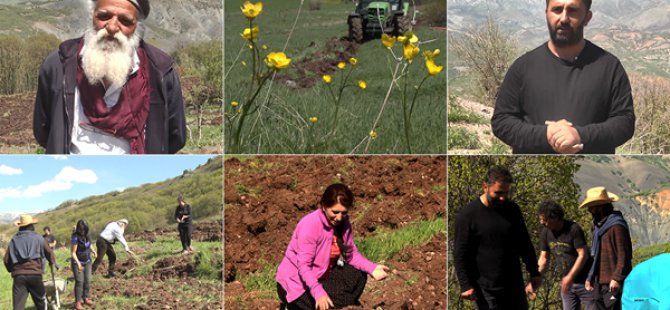 Dersim'de korona salgını ile tarıma yönelme hızlandı