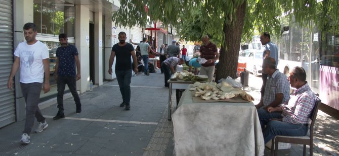 Dersim dağlarında mantar için zorlu yolculuk