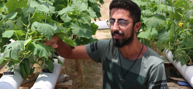 Salgın tatilini fırsata çevirdi, topraksız tarıma yöneldi