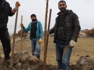 3 bin dut toprakla buluşturuldu