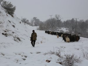 Yüksek kesimlerde kar yağışı etkili oldu