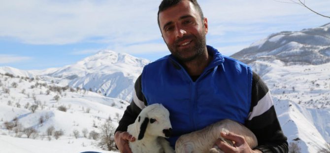 Şehir hayatı sıkıcı geldi, köyüne yerleşip hayvancılık yapmaya başladı