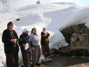 Baharın müjdeleyicisi Hawtemal Dersim’de kutlandı