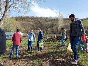 Tarlada kolektif taş toplama çalışması