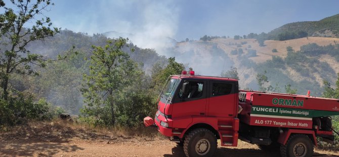 Dersim’de orman yangını