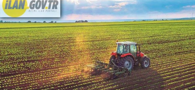 Tunceli/Merkez Konak Arkası Mevkii'nde tarım arazisi icradan satılıktır (çoklu satış)