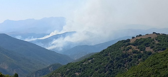 Belediye Başkanı Maçoğlu: Yangına müdahale etmemiz engelleniyor