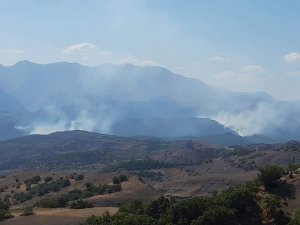 Hozat'ta başlayan orman yangını sürüyor