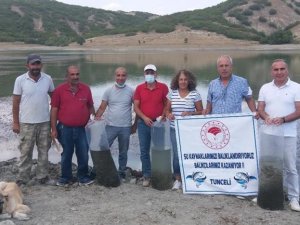 Günboğazı Göletine 100 bin pullu sazan yavrusu bırakıldı