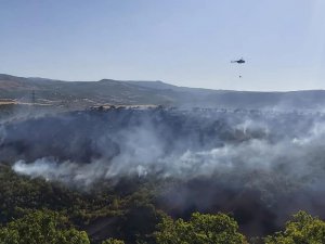 Aktuluk Mahallesinde ormanlık alanda yangın kontrol altına alındı