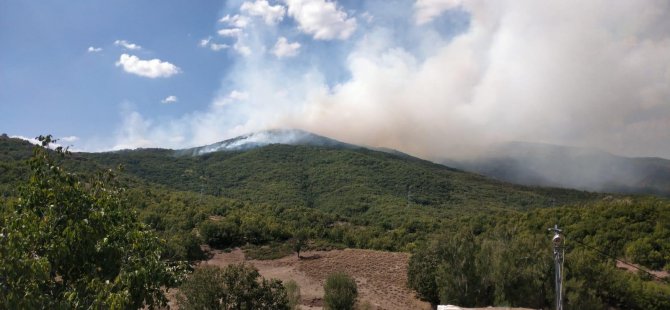 Ovacık’ta çıkan yangına müdahale başladı