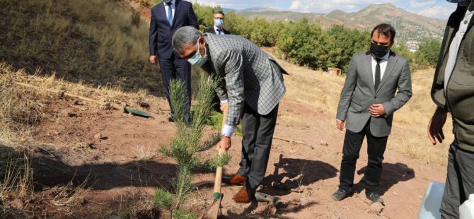 İlk doz aşısını yaptıranlar için fidan dikilecek