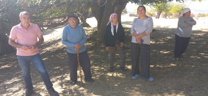 Dersim'de tarihi dut bahçesine belediye projesi