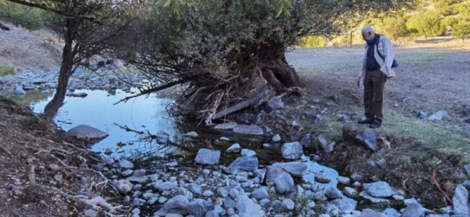 Dersim’deki Çerme Deresi kurudu: Balıklar can çekişiyor