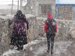 Ardahan'da kar yağışı etkili oldu