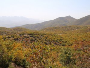 Dersim’de katı atık projesine tepki