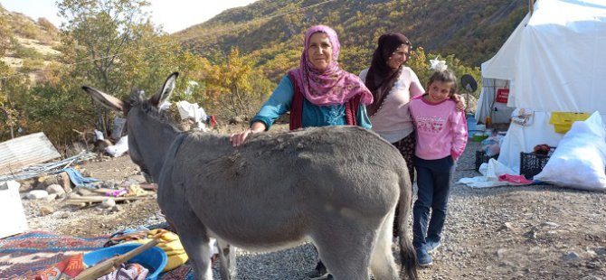 Sürü sahipleri kurak geçen yılın ardından kış mevsimine hazırlanıyor