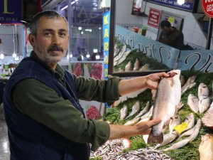 Malatya'da havalar soğudu balığa talep arttı