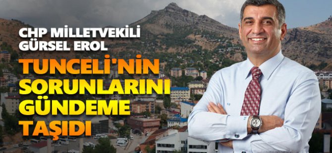 Gürsel Erol, Tunceli'nin sorunlarını gündeme taşıdı