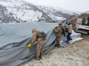 Deprem bölgesindeki hayvan çadırlarını Mehmetçik kurdu