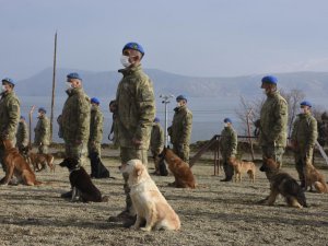 Türk Silahlı Kuvvetleri için yetiştirilen köpeklerin zorlu eğitimi