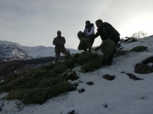 Yaban hayvanları için doğaya yem bırakıldı