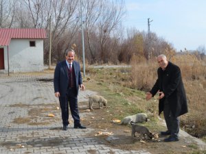 Adilcevaz’da sokak hayvanları için ekmek ve sakatat bırakıldı