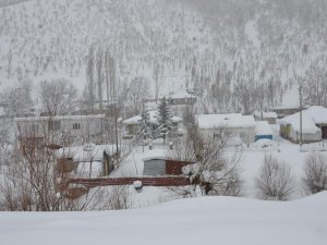 Şırnak'ta ağaçlar kırıldı, araçlar karda kayboldu