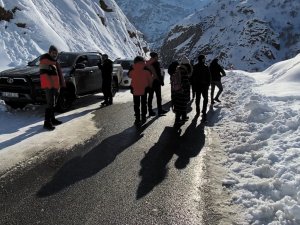 Dağ keçisi ihbarı ekipleri harekete geçirdi