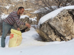 Belediyeden yaban hayatına destek