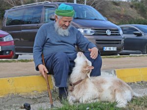 Bu keçi inatçı değil, 'Nazlı'