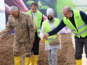 3 milyon aromatik fide tohumu toprakla buluştu