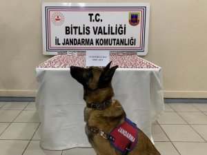 Bitlis’te 2 bin 800 adet uyuşturucu hap ele geçirildi