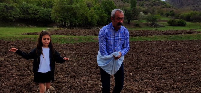 Yerli tohumun kaybolmaması için tarım yapıyorlar