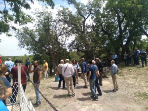 Hüseyin Cevahir Mazgirt'te mezarı başında anıldı