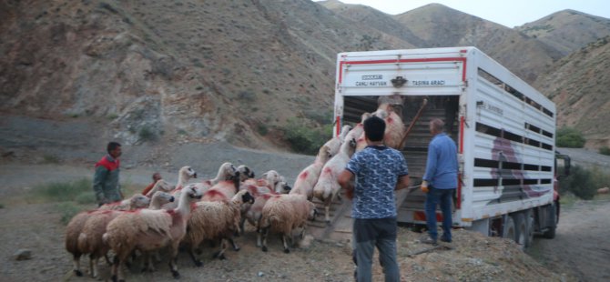 Özdal ailesinin, yaylaya çıkış hikayesi