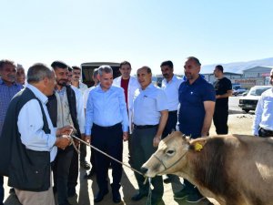 Çınar, canlı hayvan pazarını ziyaret edip, üreticilerle bir araya geldi