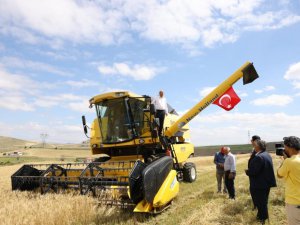 Keçiören Belediye Başkanı Turgut Altınok, ilk buğday hasadını yaptı