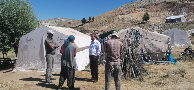 Dersim'de filizlendirme çalışması altında orman katliamı mı yapılıyor?