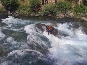 Kayıp hemşireyi arama çalışmaları devam ediyor