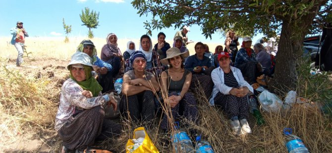 Pertek’in Tanz köyünde Yerğat buluşması