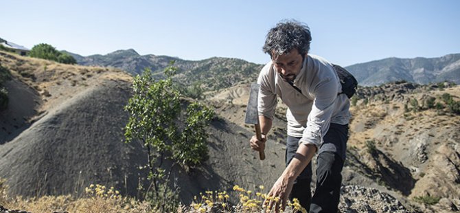 Dersim dağlarında endemik bitkilerin izini sürüyor