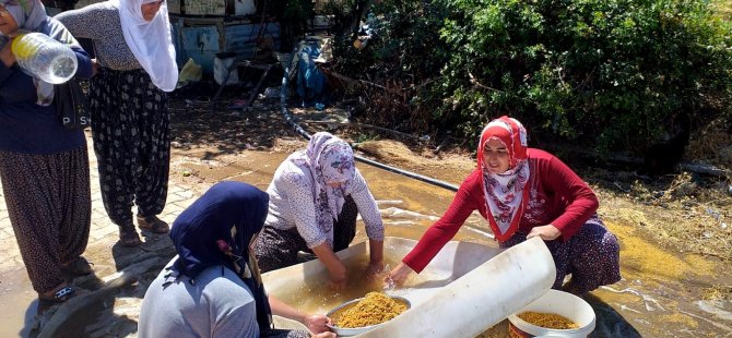 Bulgur kazanları kaynamaya başladı