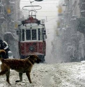 İstanbul'da kar başladı! VİDEO