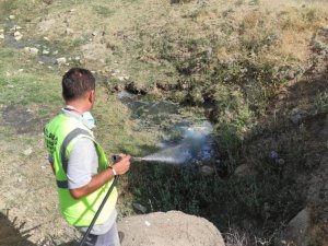 Elazığ'da ilaçlama çalışmaları sürüyor